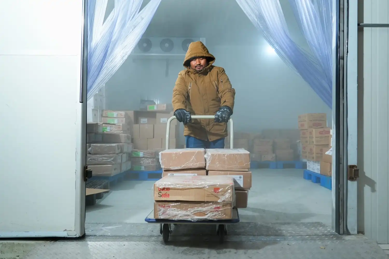 frozen Food Distribution Company in Qatar
